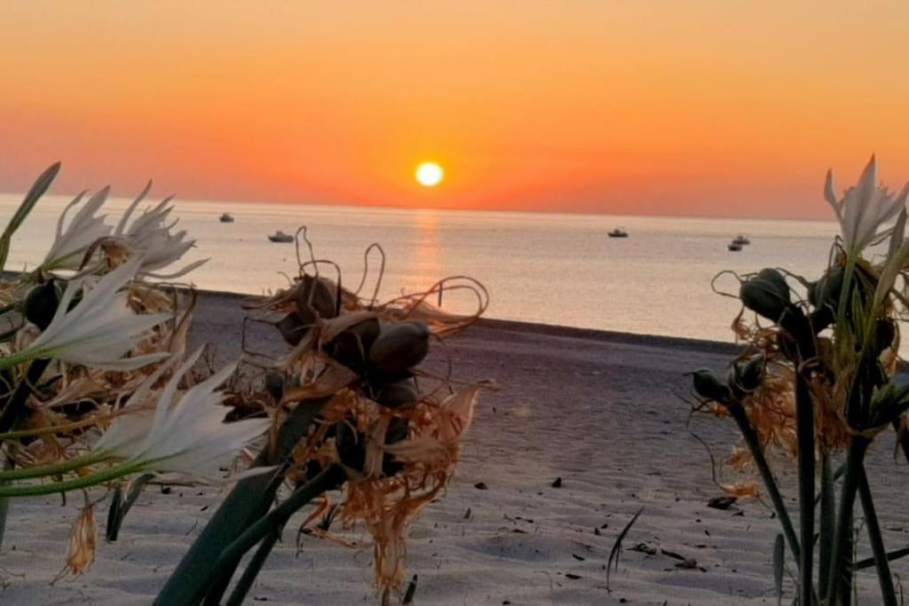 شقة Casa Lulu Due Minuti Dal Mare Ardore Marina المظهر الخارجي الصورة